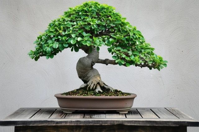 家庭裝修風(fēng)水寶典：避免3大禁忌，打造和諧家居環(huán)境
