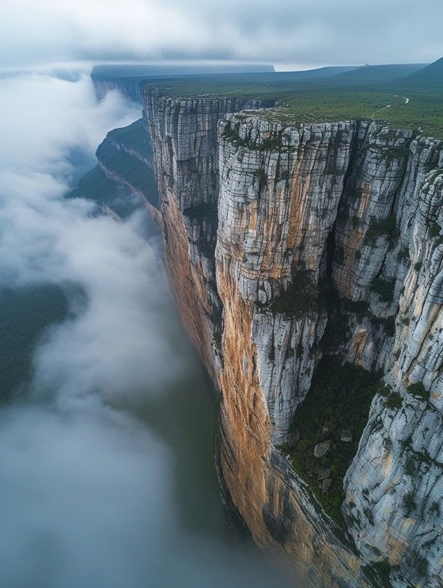 梵凈山兩日游超詳細(xì)攻略來(lái)襲，帶你玩遍貴州美景！