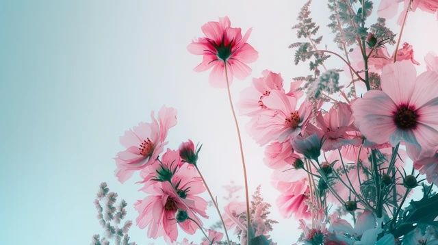 養(yǎng)好花的基本技巧和常識(如何養(yǎng)好花?)