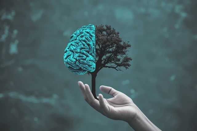 知識與認知：解析二者的差異與聯系，認知與常識的探討