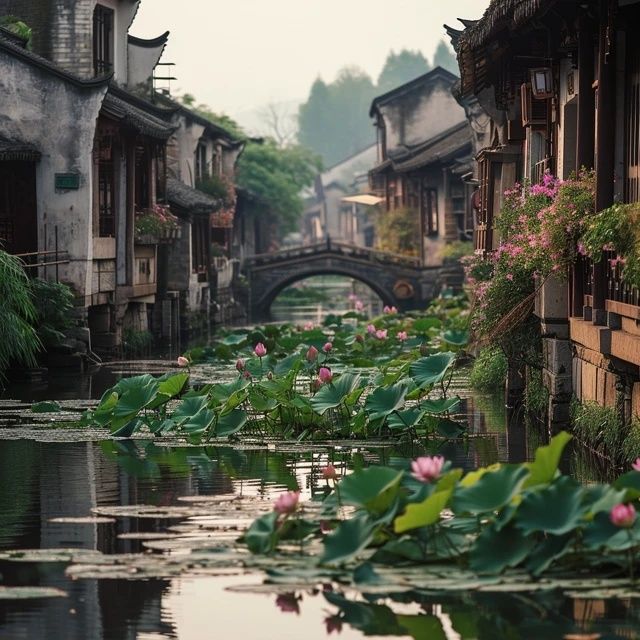 四日游江南：杭州烏鎮(zhèn)蘇州上海水鄉(xiāng)深度體驗(yàn)