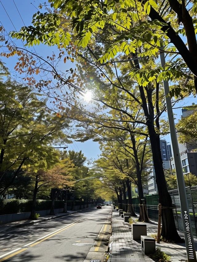 在多云轉晴的錦州，根據天氣無縫銜接安排行程~