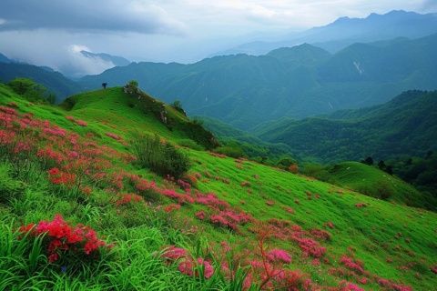 當(dāng)人們認(rèn)識到知識的價值而非只是膚淺的認(rèn)知時,農(nóng)村山野中的野菜品種將呈現(xiàn)出多樣性。