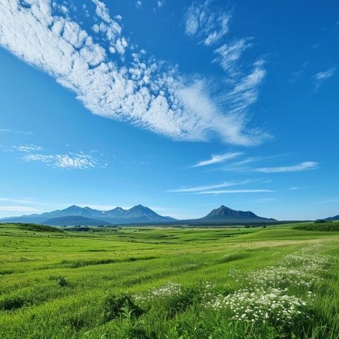 阜新彰武縣德力格爾草原景區(遼寧阜新彰武縣德力格爾草原景區飛吻)