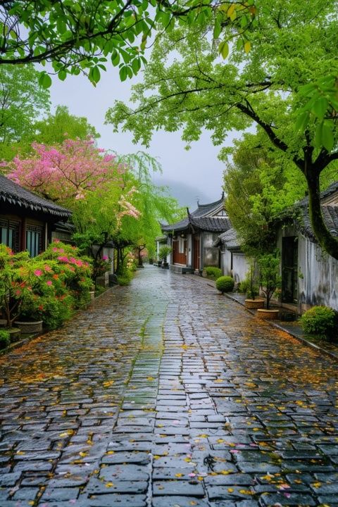 石臺(tái)縣的隱世古村：白石村——?dú)v史與自然交織的迷人畫(huà)卷