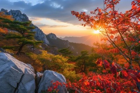 探索大連之魂：不可錯過的旅順深度游記