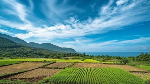 走進(jìn)廣東肇慶懷集縣 美味之旅盡在此！
