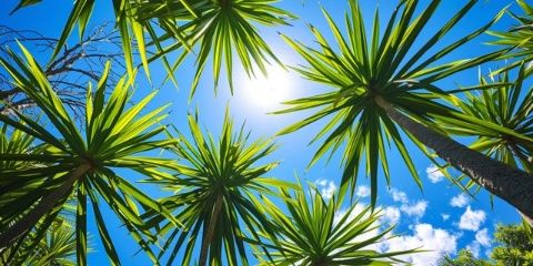 年假的第三天，雖然已經立秋了，氣溫并沒有降下來，還是有36、37o的樣子