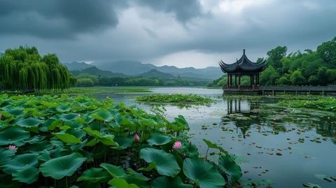 夏日荷塘：荷花盛開的視覺盛宴，探索其文化與生態價值