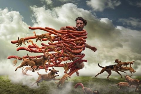 為什么人類幾乎不吃食肉動物的肉？