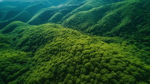 探索長春生態(tài)之美——凈月潭、北湖濕地與這有山文化之旅