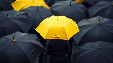 揭秘保險：必知的基礎知識與實用技巧