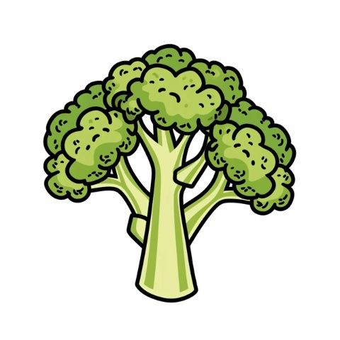 炎熱夏季來臨!西蘭花成為營養補充的最佳選擇