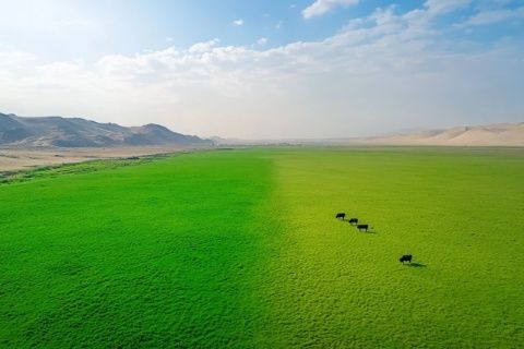 青海德里哈市白馬山高原空氣稀薄透明度極好,特殊地理環境引起爭議.