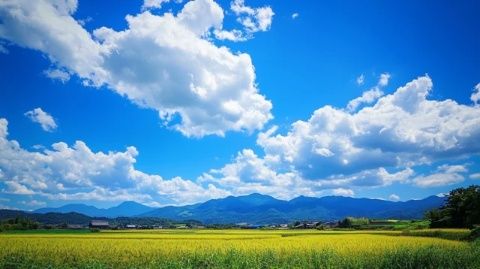 探秘云端仙境：馬家塢納吉云景，世外桃源般的鄉村之旅