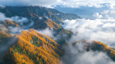 香爐山秋色：五彩斑斕，靜享自然之美