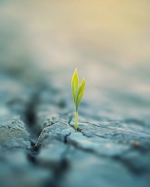 揭秘生活小細(xì)節(jié)：為何“屁股擦得干凈”成冷知識？
