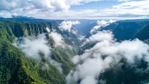 領(lǐng)略神農(nóng)架森林奇觀與文化底蘊的交融之美