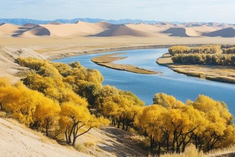 呼倫貝爾深度游攻略：6天5夜探索自然與文化奇境