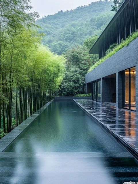 神農(nóng)架避暑攻略:森林峽谷、奇峰云海和長江三峽