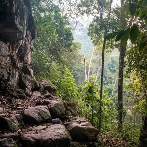 哀牢山探秘：揭秘傳聞背后的地理知識(shí)，探尋自然奧秘與生物多樣性