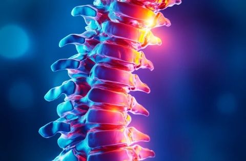 腰椎常識全解析：從癥狀診斷到日常保健的全方位指南