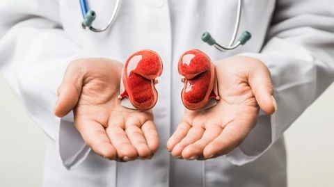 10條必備的腎病知識：了解慢性腎臟健康要點