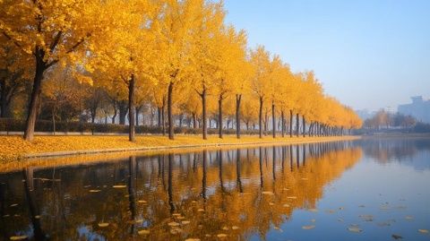 周末自駕游攻略：臨朐石門坊紅葉美景一日游