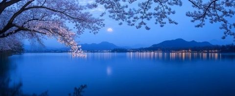 周末Plog｜在杭州千島湖看漫山櫻花,想把這個地方安利給所有姐妹