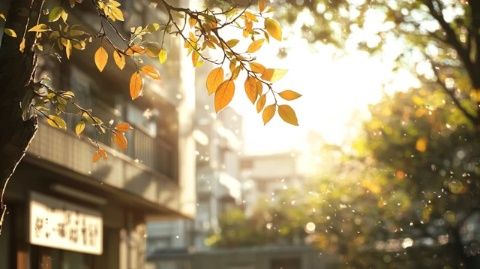 白日如夏晚來秋，炎熱與涼爽共存