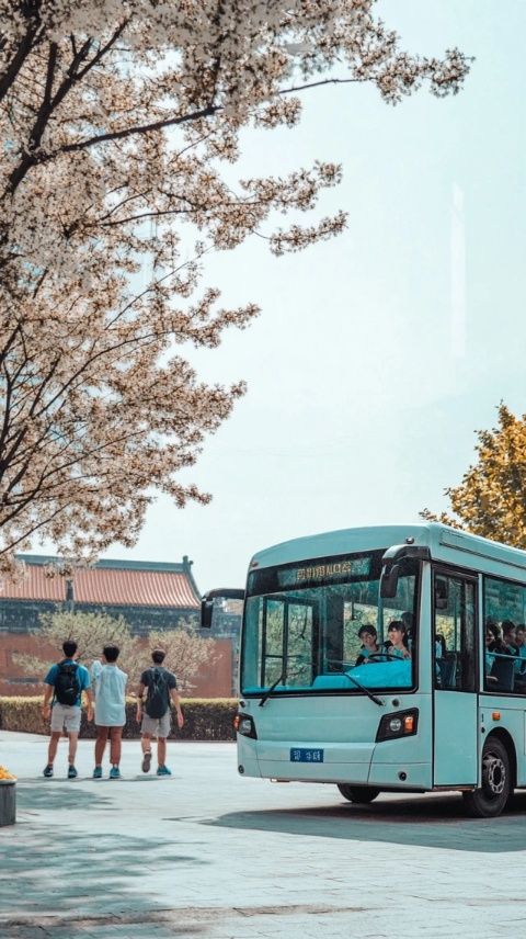 在衡水的一天，我乘坐公交前往了市區，打算在這里尋找一些小生意或者工作機會,下午