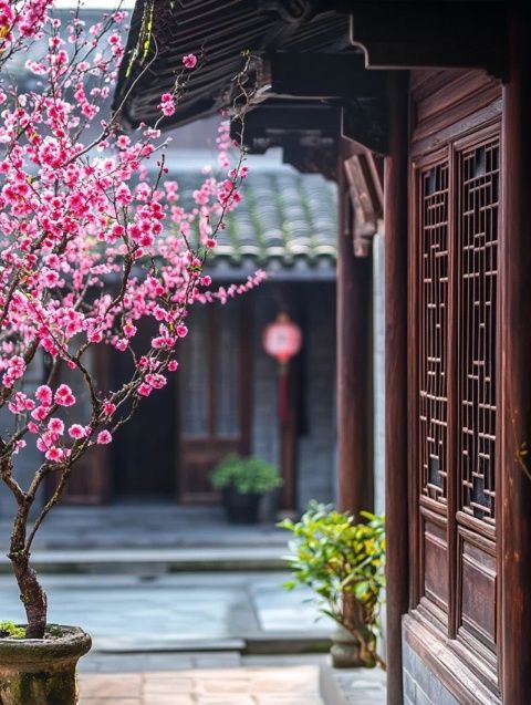 即墨古城春景絢爛！花卉盛開位置及最佳觀賞時間一覽