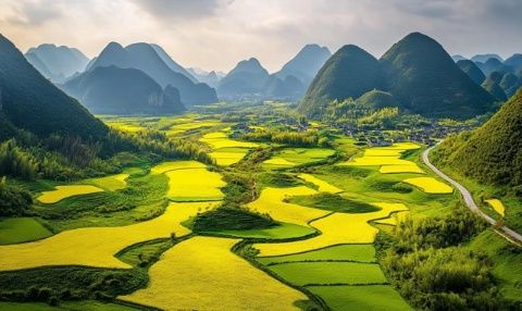 四月天最美景色，槐花飄香滿人間