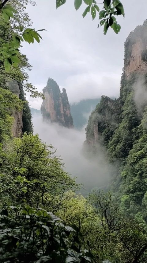 太行山腹地秘寶——阜平八大碗香氣四溢，吸引八方食客品味古早美味
