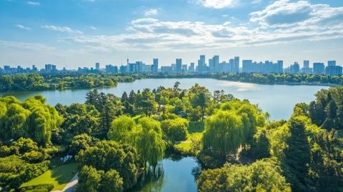 浪漫深圳之旅：中老年人的好去處