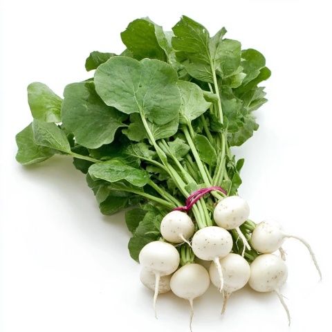 讓白蘿卜變得不再寡淡！兩道創(chuàng)意美食，簡(jiǎn)單易學(xué)超美味