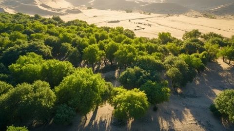 博爾塔拉河畔綠意濃：新疆首個自治區級水利風景區落戶博樂市，打造生態旅游新地標