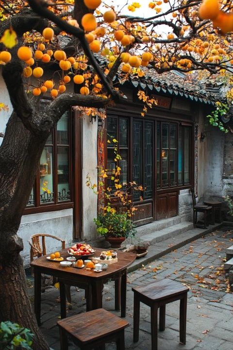 探訪留園秋日美景，攻略在手盡情欣賞