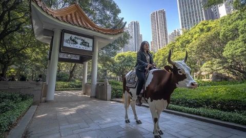 揭秘：碭山地名背后的歷史淵源