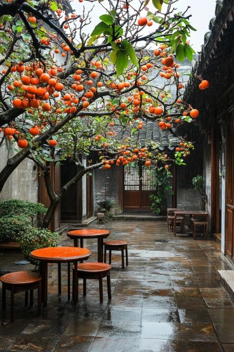 惠山古鎮(zhèn)的小吃舊時(shí)光