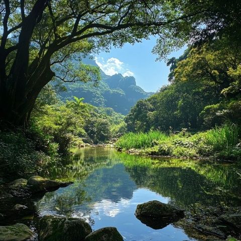 探訪昆明沙朗村車頭山：采摘野生菌與汲取清泉水之旅
