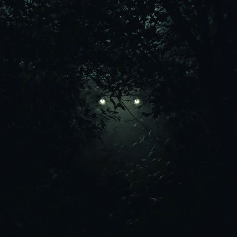 燈火闌珊處，夜色正濃時