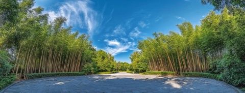 廣東周邊游|避暑必去的古兜溫泉小鎮！