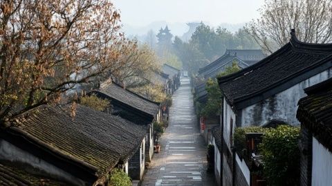 暖冬避峰游揚州：東關街、個園與瘦西湖的魅力之旅