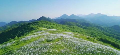 山西右玉：黃花飄香的地方，一個隱藏在塞北的小城，美的低調(diào)卻讓人心動