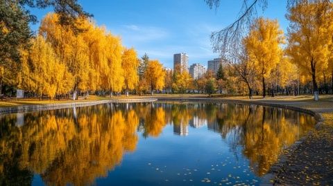 北京秋景首推：奧林匹克森林公園南園金黃銀杏與彩虹密林