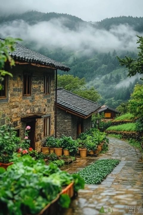 福建土樓旅游攻略，趣味滿滿等你來探索！