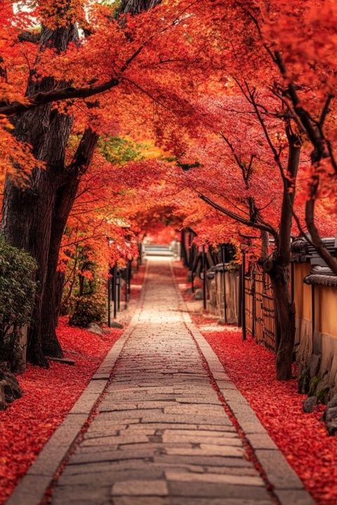續上一篇,再帶大家一起深入日本清水寺的另一番風景