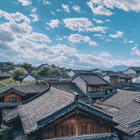 湛江市霞山區64條村人口數量與姓氏分布情況