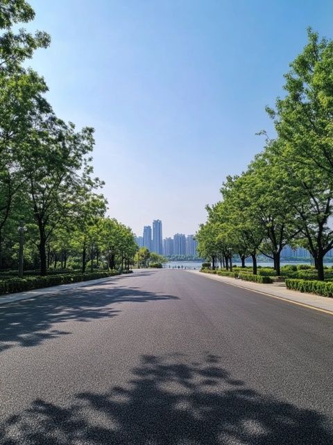 周日清晨騎行懷舊：探尋巢湖畔中廟鎮美景與文化